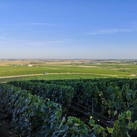 Gîte La bulle de Léna avec petit-déjeuner Flavigny Extérieur photo