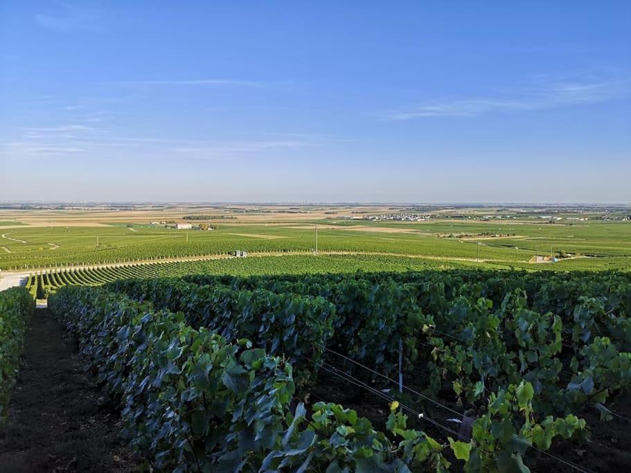 Gîte La bulle de Léna avec petit-déjeuner Flavigny Extérieur photo